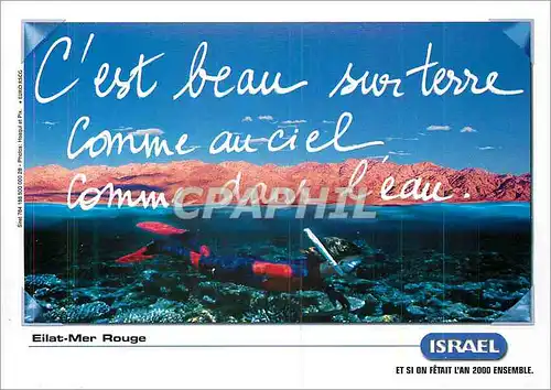 Cartes postales moderne Israel Eilat Mer Rouge