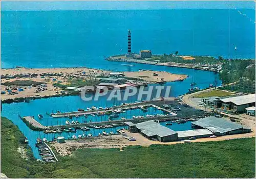 Cartes postales moderne Lido Di Jesolo Cavallino