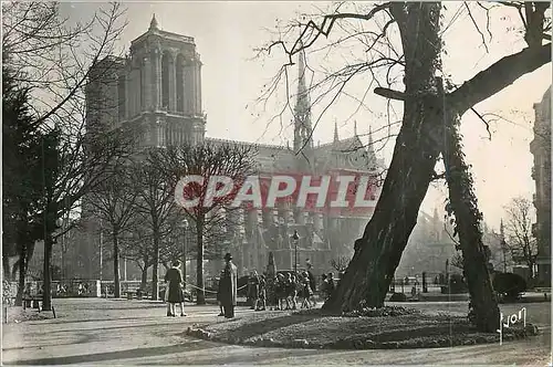 Cartes postales moderne Paris en Flanant Notre Dame Vue du Square Viviant