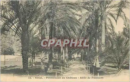 Cartes postales Nice Promenade du Chateau Allee de Palmiers