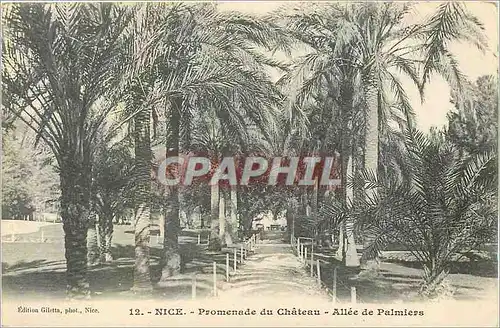 Cartes postales Nice Promenade du Chateau Allee de Palmiers