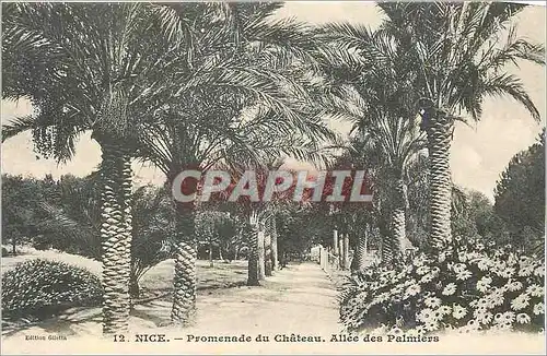 Cartes postales Nice Promenade du Chateau Allee des Palmiers