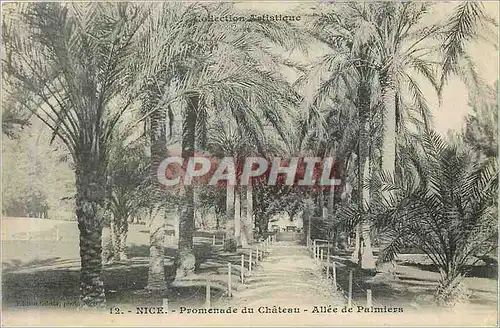 Cartes postales Nice Promenade du Chateau Allee de Palmiers