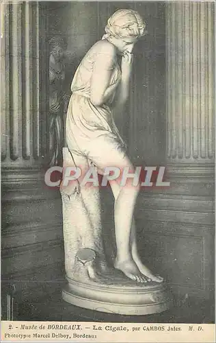 Cartes postales Musee de Bordeaux la Cigale