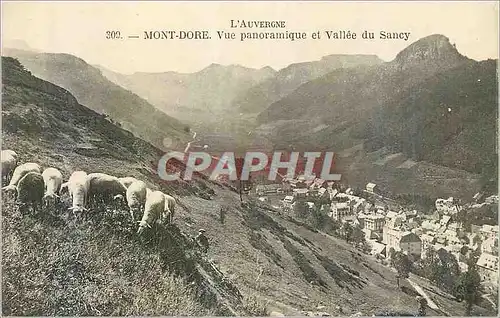 Cartes postales Mont Dore L'Auvergne Vue Panoramique et Vallee du Sancy Moutons