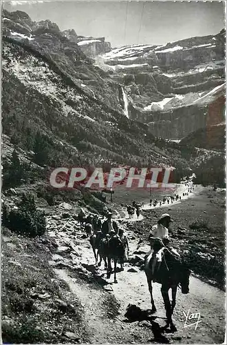 Cartes postales moderne Gavarnie Retour du Cirque Chevaux
