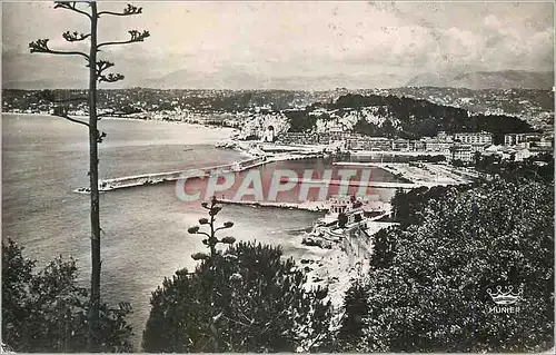 Cartes postales moderne Nice l'Entree du Port et le Chateau