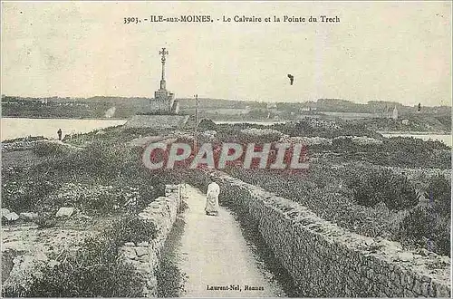 REPRO Ile aux Moines Le Calvaire et la Pointe du Trech