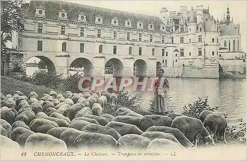 REPRO Chenonceaux Le Chateau Troupeau de Moutons