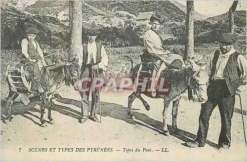 REPRO Pau Scenes et Types des Pyrenees Types du Pays Ane Donkey