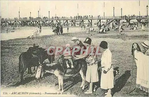 REPRO Arcachon (Gironde) La Plage Promenade de Bebe Ane Donkey
