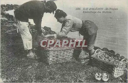 REPRO Ile d'Oleron St Trojan Emballage des Huitres