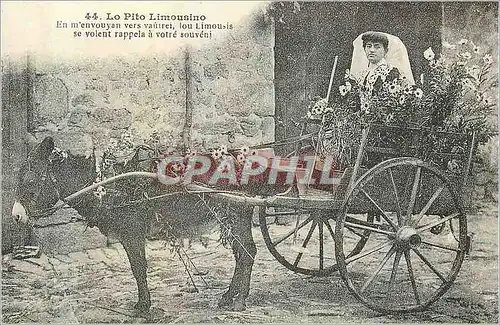 REPRO La Petite Limousine Folklore et Tradition Ane Donkey