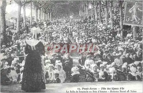REPRO Pont Aven Fete des Fleuves d'Ajonc d'Or La Salle de Spectacle au Bois d'Amour