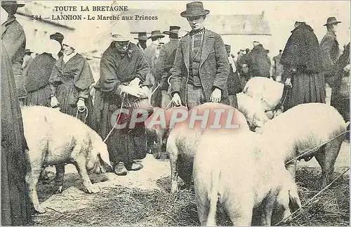 REPRO Nannilon Toute la Bretagne Le Marche aux Princes Porc Cochon