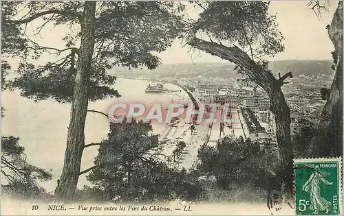 Cartes postales Nice Vue prise entre les Pins du Chateau