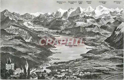 Cartes postales moderne Thun