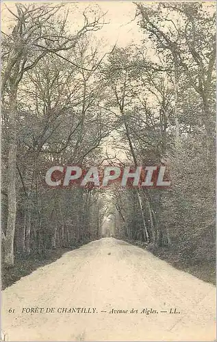 Cartes postales Foret de Chantilly Avenue des Aigles
