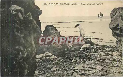 Cartes postales Les Sables d'Olonne Etude dans les Rochers