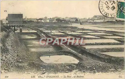 Cartes postales Les Sables d'Olonne Le Parc aux Huitres