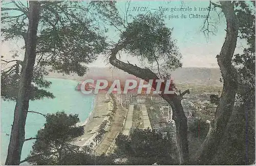 Cartes postales Nice Vue Generale a Travers les Pins du Chateau