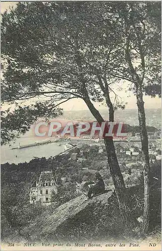 Cartes postales Nice Vue prise du Mont Boron entre les Pins