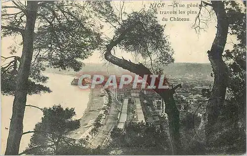 Cartes postales Nice Vue Generale a Travers les Pins du Chateau