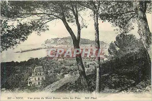 Cartes postales Nice Vue prise du Mont Boron entre les Pins