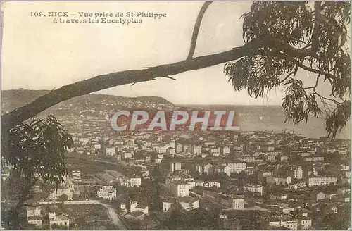 Cartes postales Nice Vue prise de St Philippe a Travers les Eucalyptus