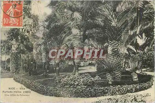 Cartes postales Nice Villa Futado Heine (1895) Une Allee de Palmiers