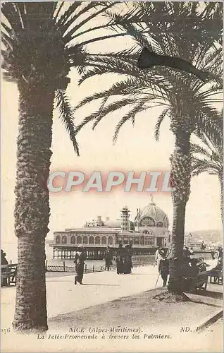 Cartes postales Nice (Alpes Maritimes) La Jetee Promenade a Travers les Palmiers