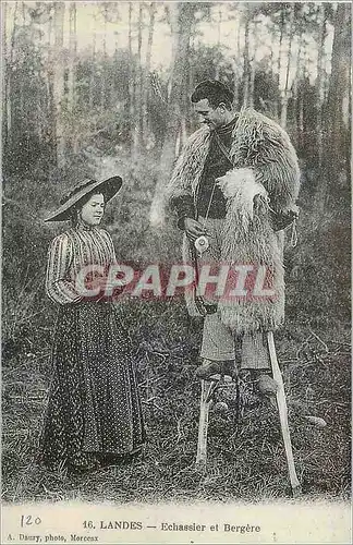 REPRO Landes Echassier et Bergere