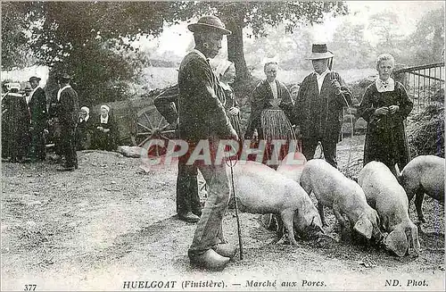 REPRO Huelgoat (Finistere) Marche aux Porcs Cochons