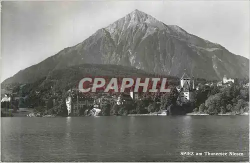 Cartes postales moderne Spiez am Thunersee Niesen