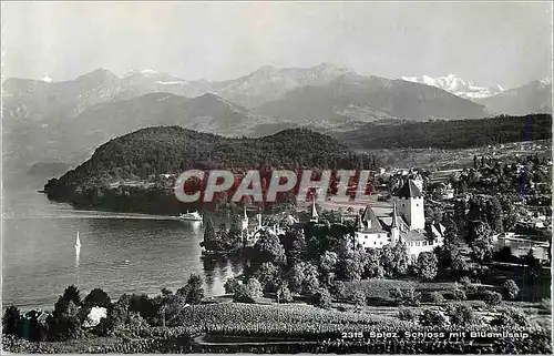 Cartes postales moderne Spiez Schloss mit Bluemlisalp