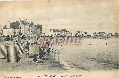 Cartes postales Quiberon La Plage et les Villas