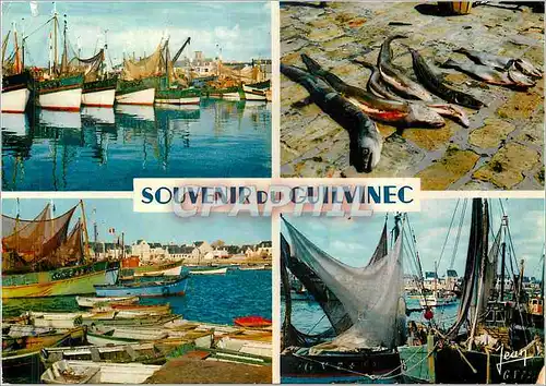 Cartes postales le Guilvinec (Sud Finistere) la Bretagne
