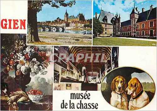 Cartes postales Gien (Loiret) Musee de la Chasse Chiens