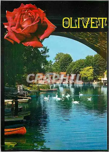Cartes postales Olivet (Loiret) les Bords du Loiret
