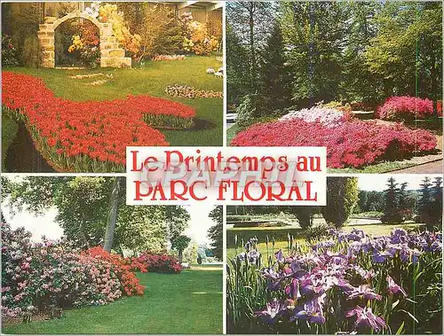 Ansichtskarte AK Orleans (Loiret) Parc Floral de la Source le Printemps