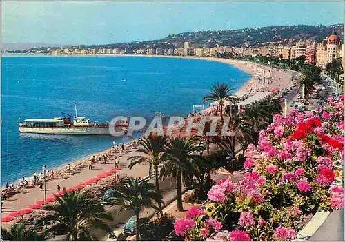 Cartes postales moderne Nice Cote d'Azur French Riviera la Promenade des Anglais