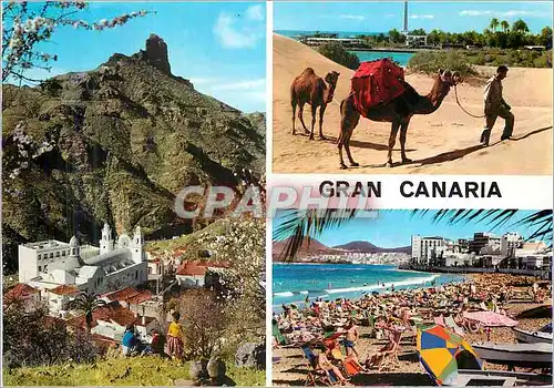 Cartes postales moderne Gran Canaria