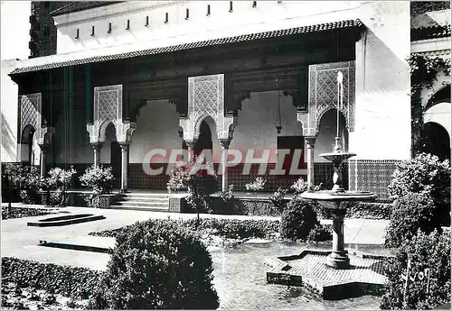 Cartes postales moderne Institut Musulman Mosquee de Paris Cour d'Honneur