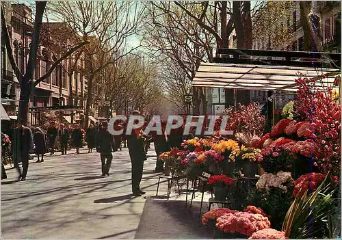 Cartes postales moderne Barcelona Rambla des Fleurs