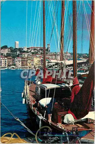 Cartes postales moderne Cannes un Coin du Port vue sur le Suquet Bateaux