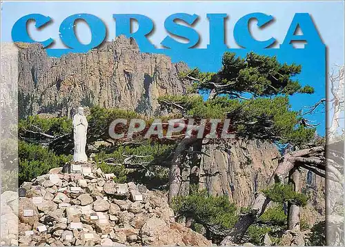 Cartes postales moderne Corsica Bavella