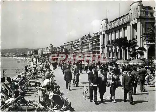 Cartes postales moderne Nice Un Coin de la Promenade Palais de la Mediterranee