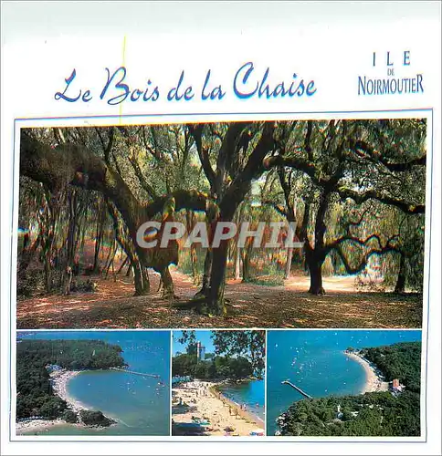 Moderne Karte Ile de Noirmoutier Le Bois de la Chaise