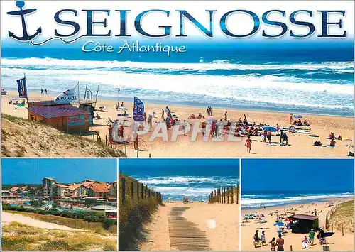 Cartes postales moderne Seignosse Cote Atlantique