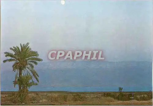 Cartes postales moderne Jericho The Dead Sea